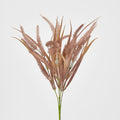Pampas Grass Bush Pink