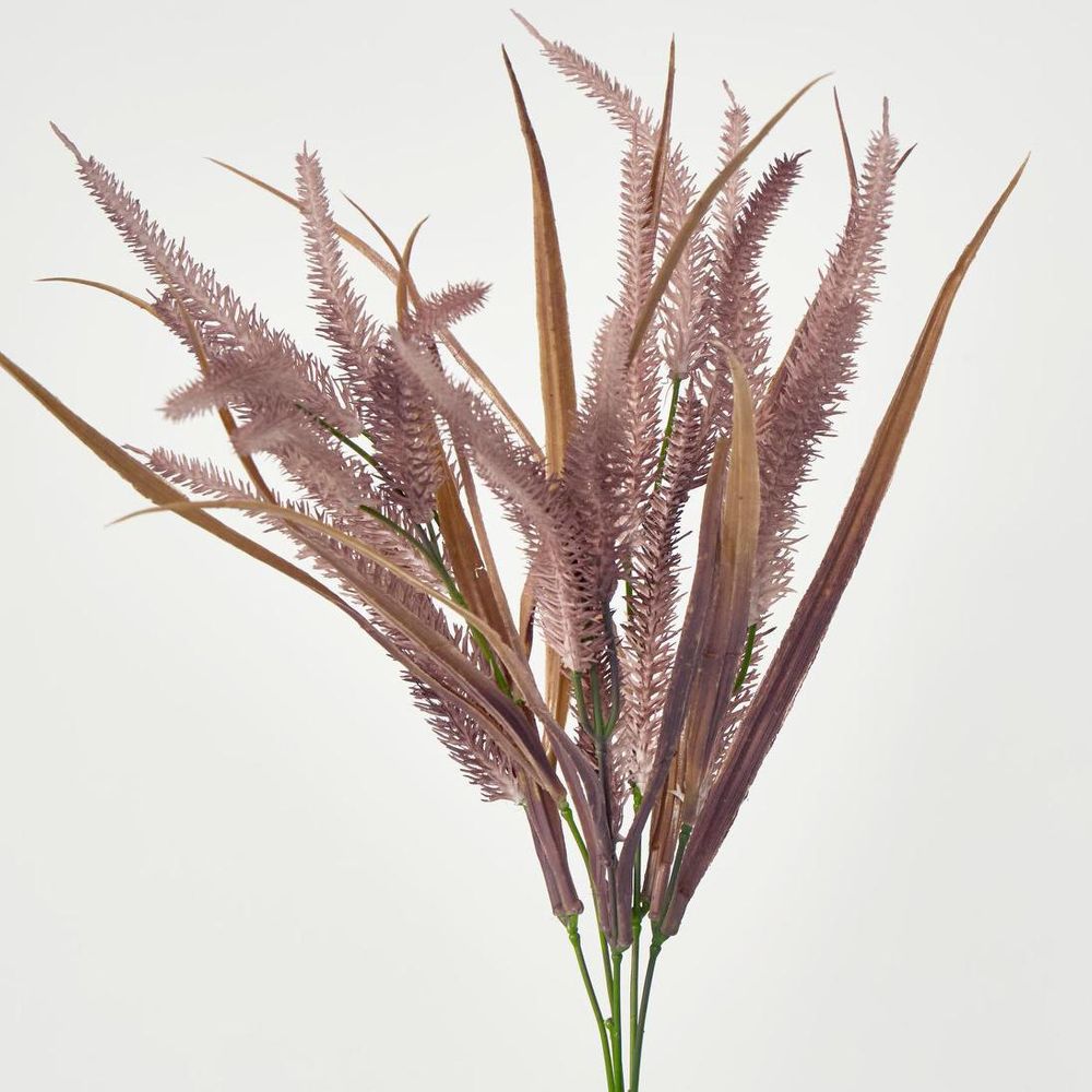 Pampas Grass Bush Pink image 2