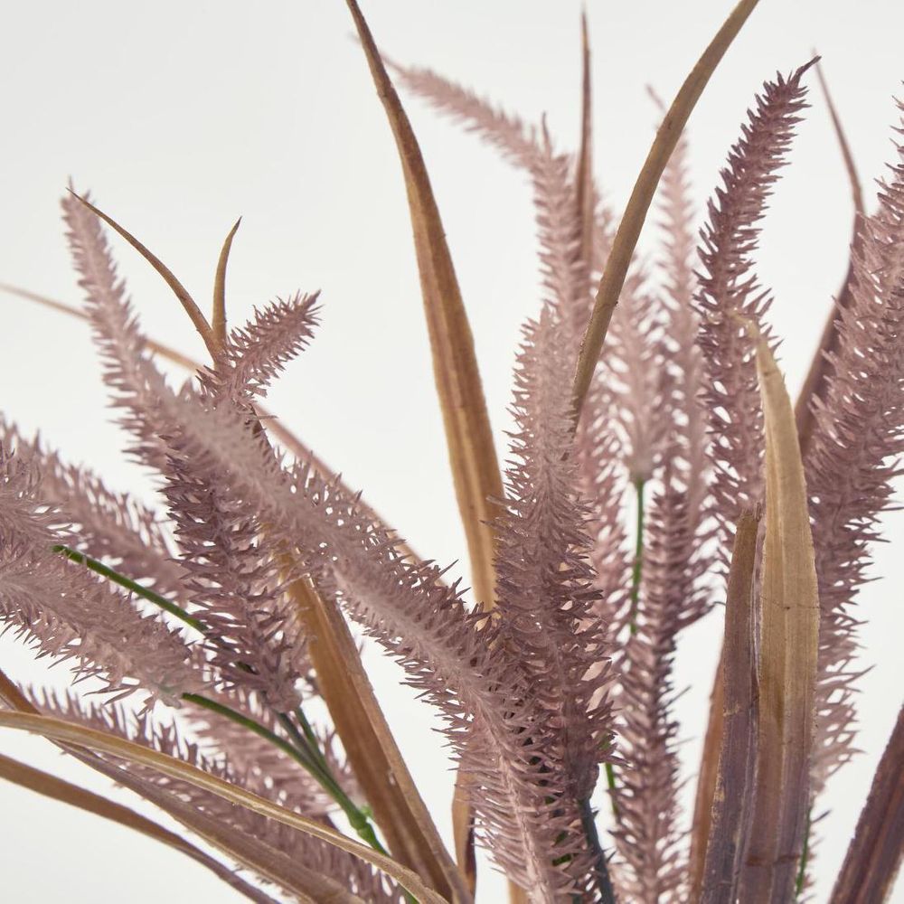 Pampas Grass Bush Pink image 3
