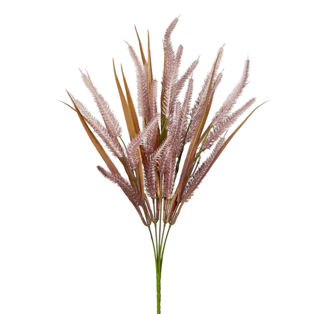 Pampas Grass Bush Purple