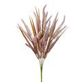 Pampas Grass Bush Purple