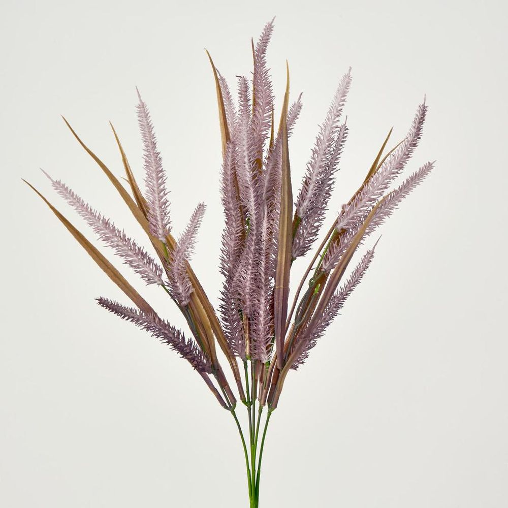 Pampas Grass Bush Purple image 2