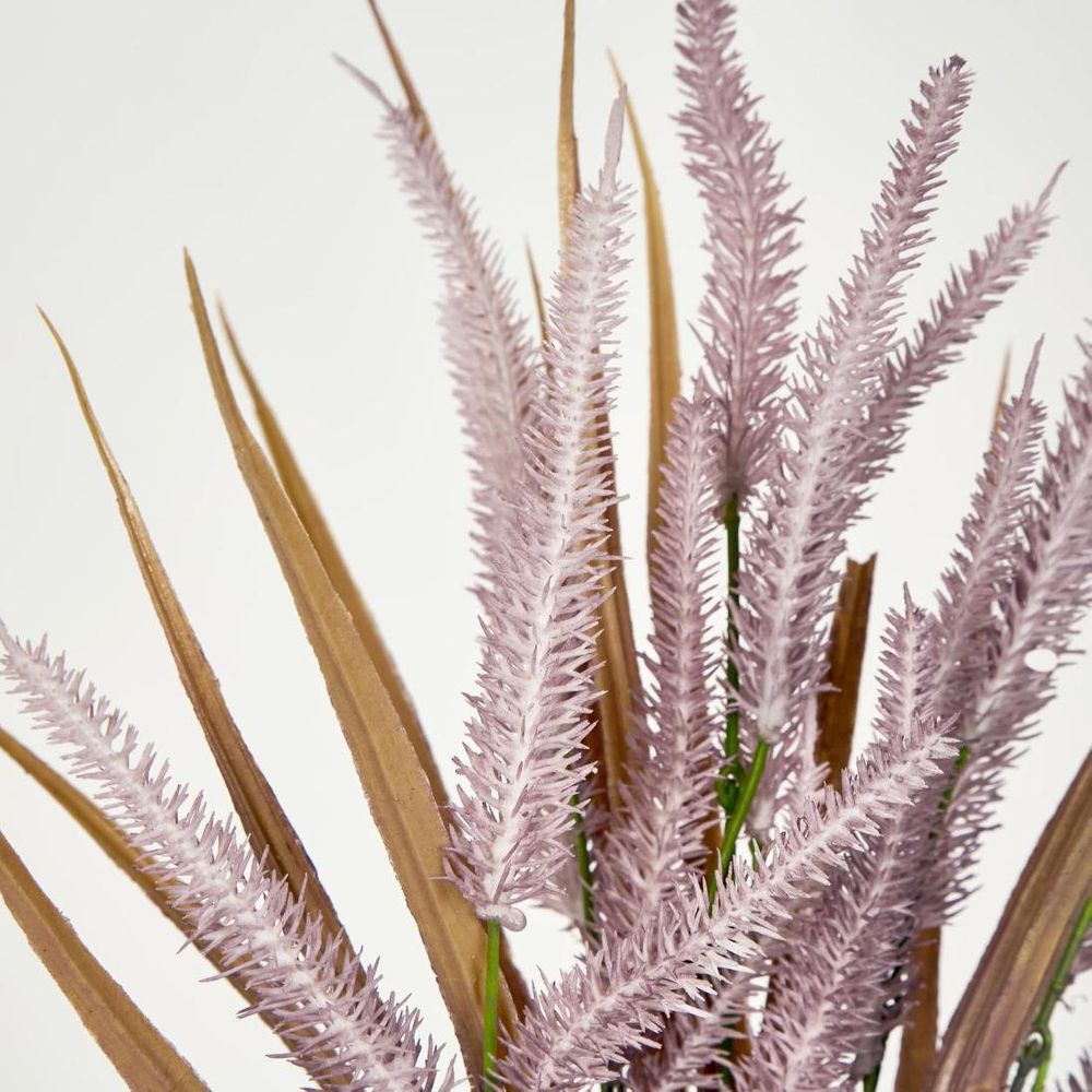 Pampas Grass Bush Purple image 3