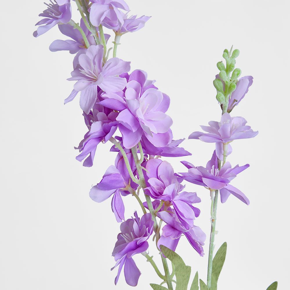 Delphinium 85cm Light Purple image 3