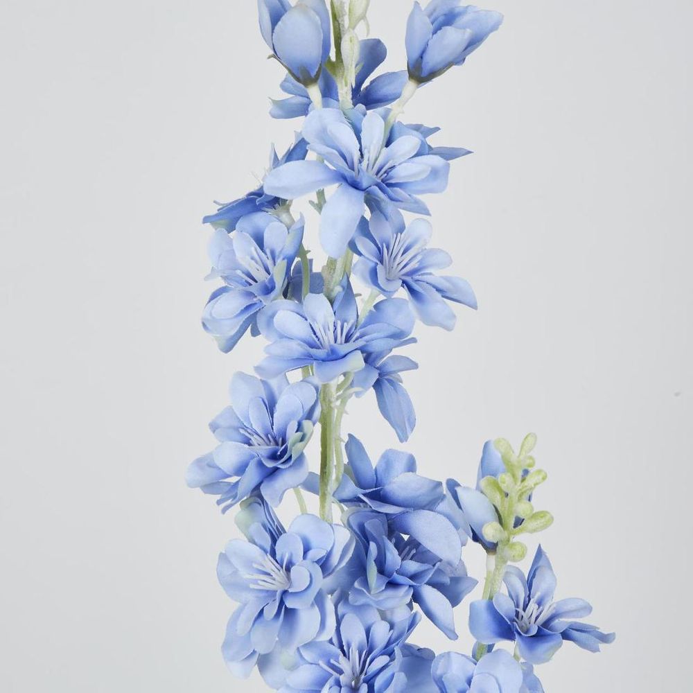 Delphinium 85cm Blue image 2