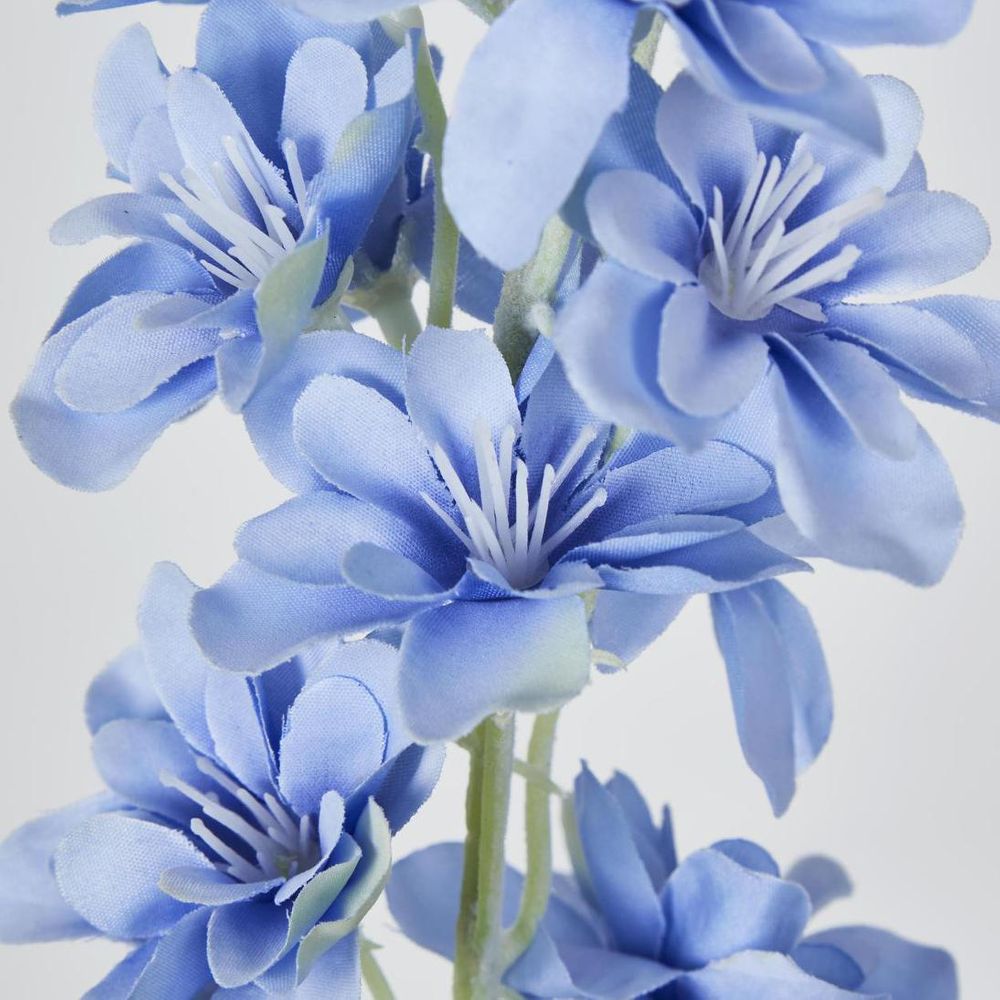 Delphinium 85cm Blue image 3