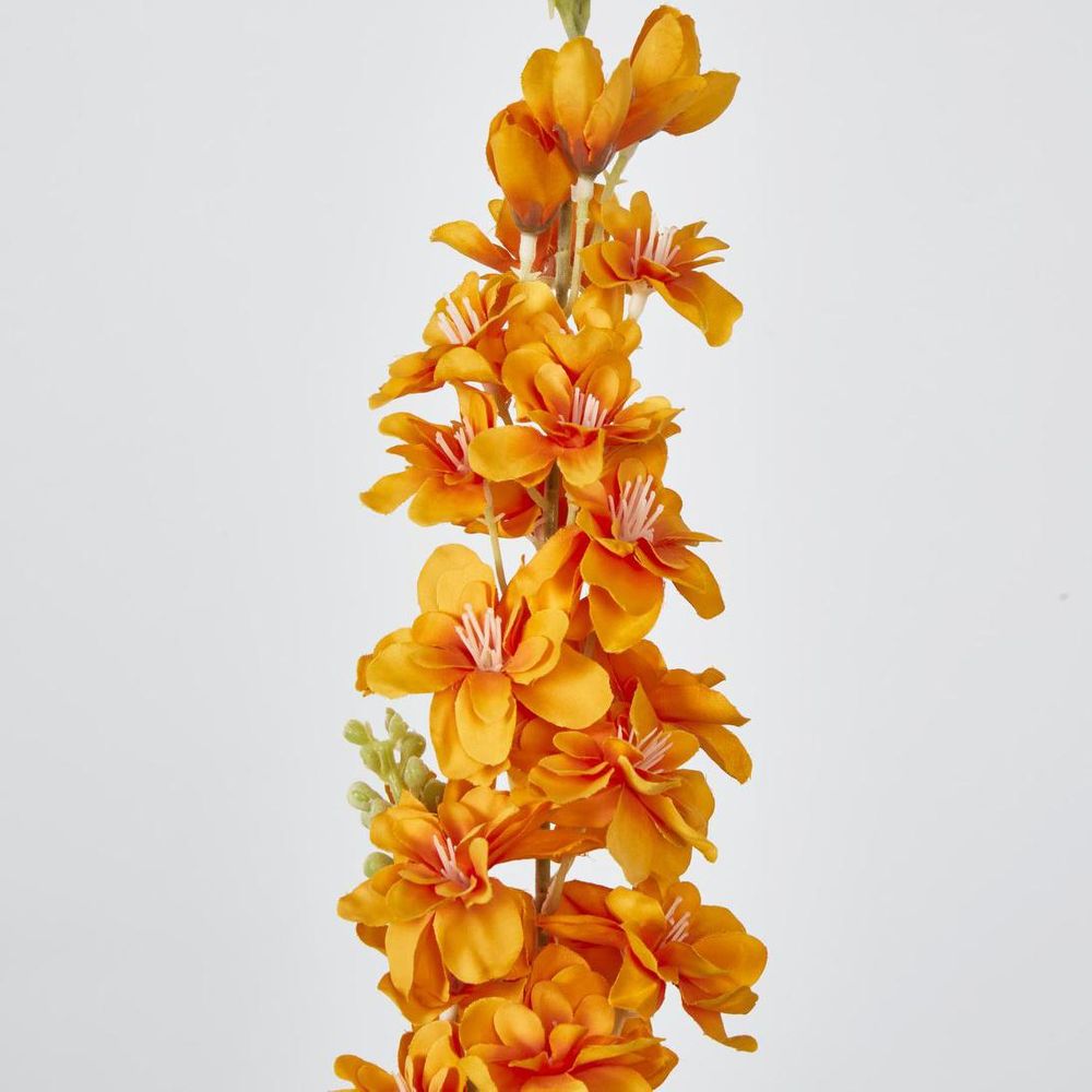 Delphinium 85cm Orange image 2