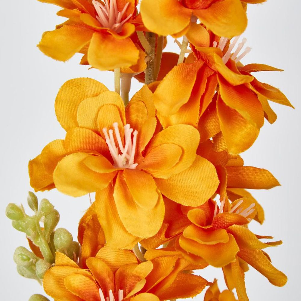 Delphinium 85cm Orange image 3