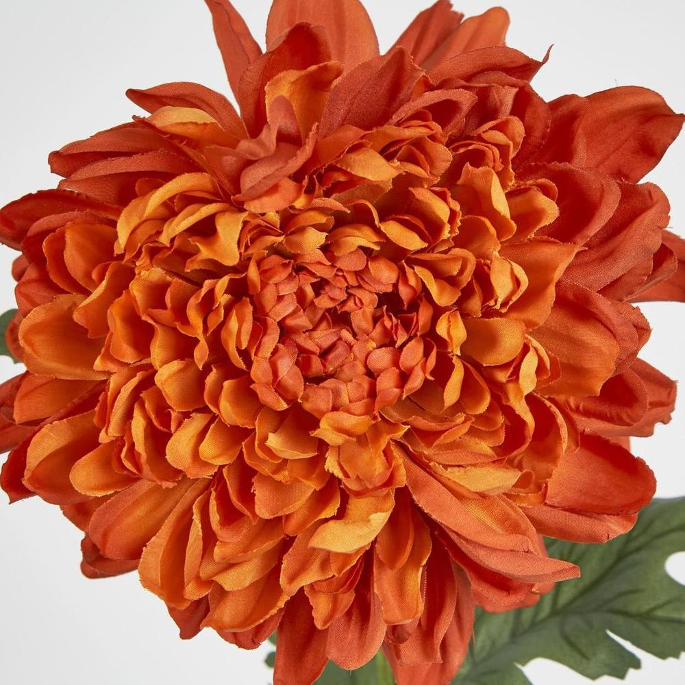 Chrysanthemum 76cm Orange image 3
