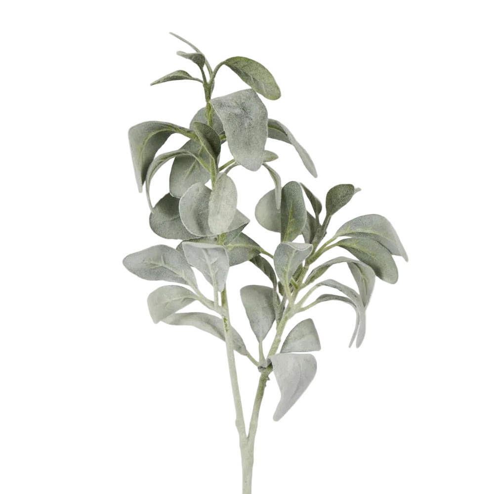 Lambs Ear Leaf Spray Green