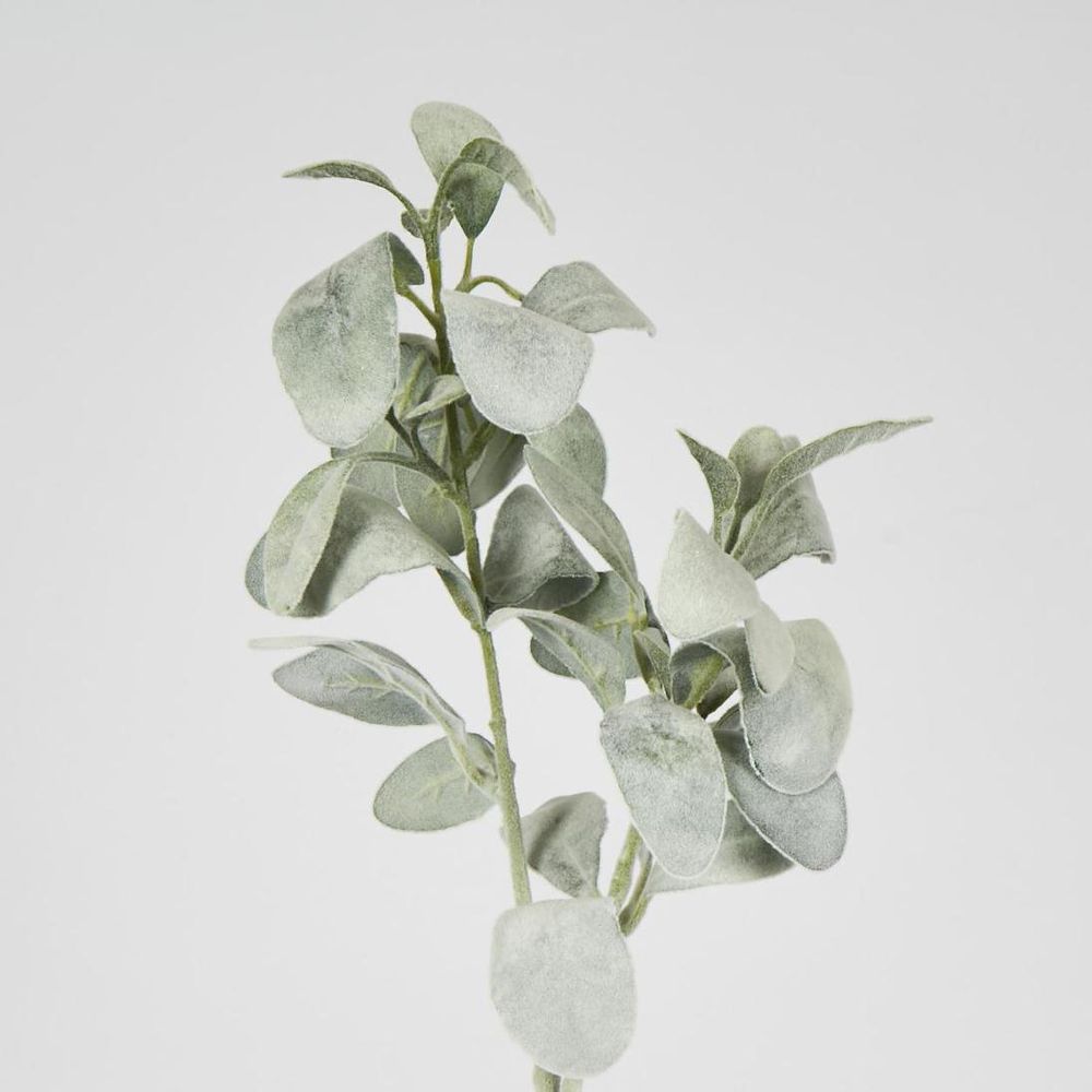 Lambs Ear Leaf Spray Green image 2