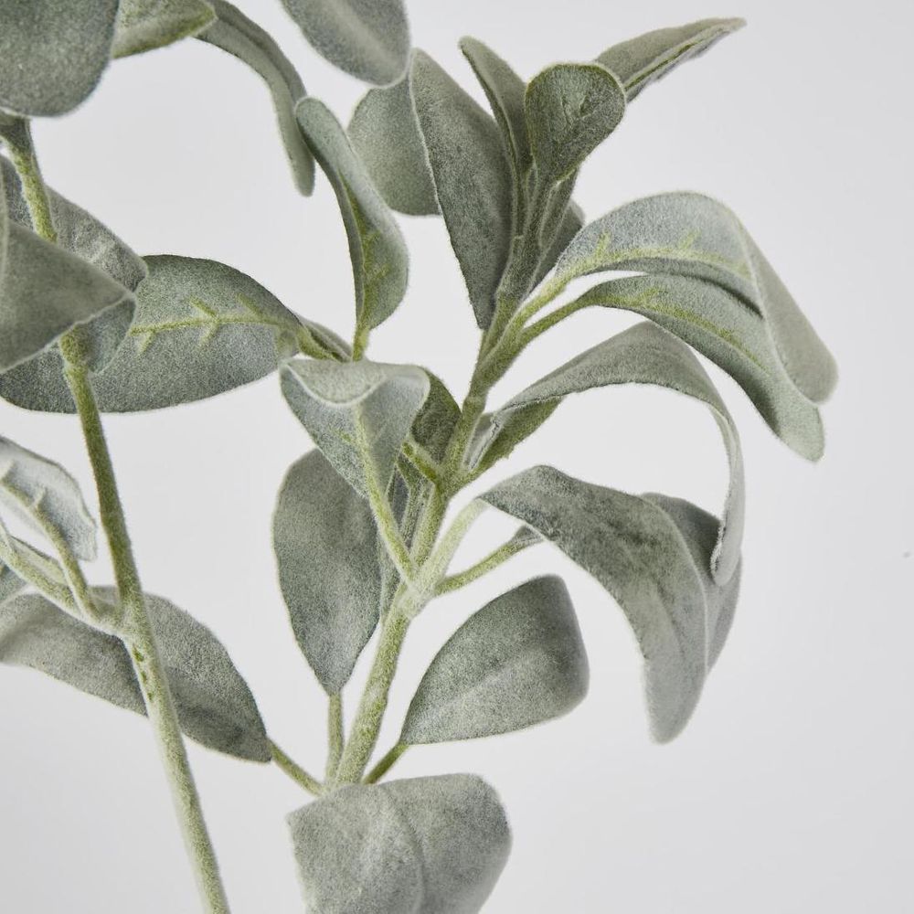 Lambs Ear Leaf Spray Green image 3