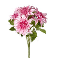 Dahlia Bush x 5 Light Pink