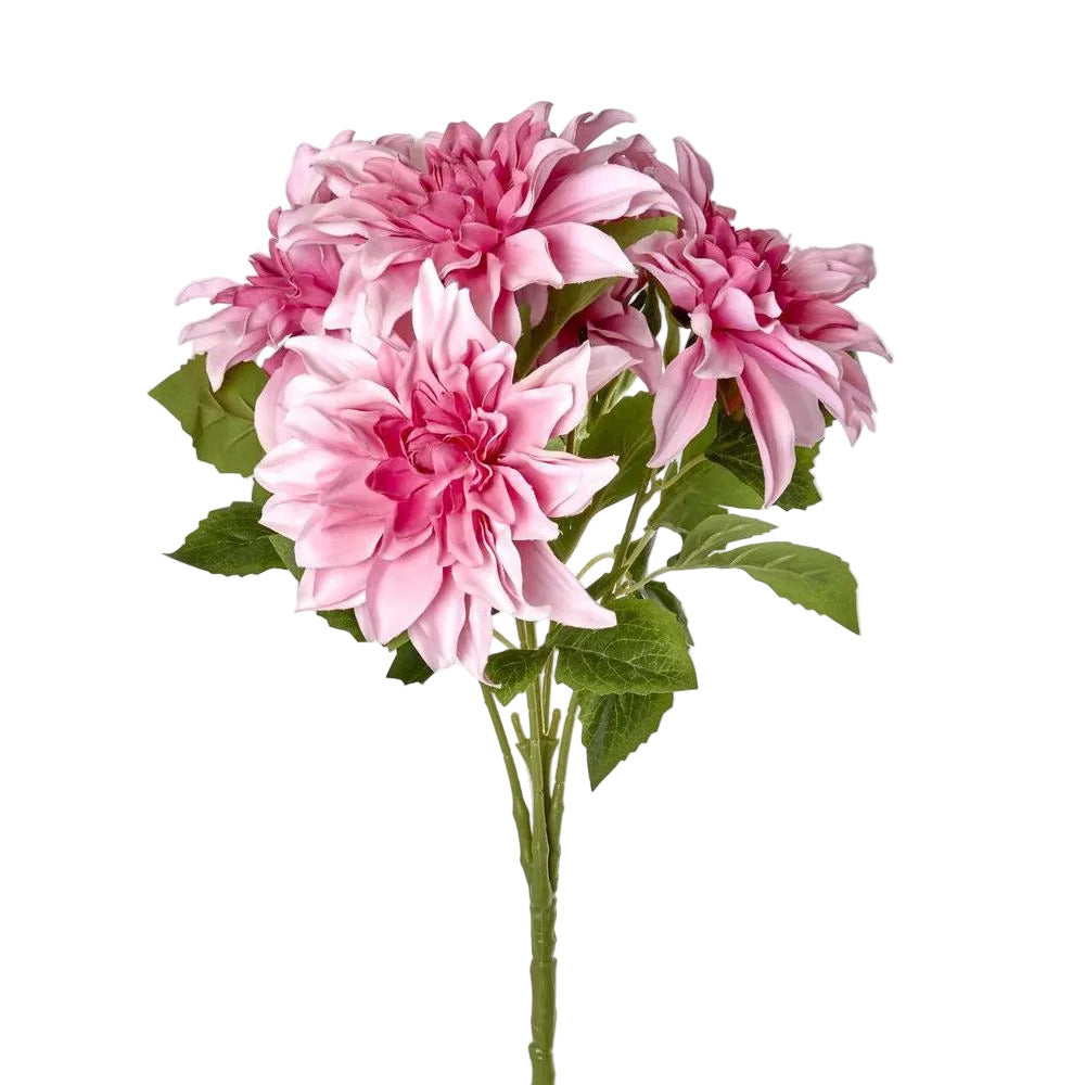 Dahlia Bush x 5 Light Pink