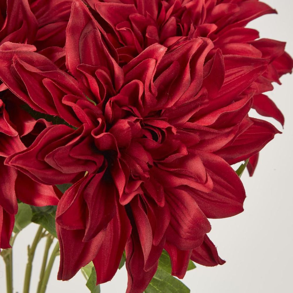 Dahlia Bush x 5 Red image 3