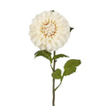 Single Ball Dahlia 74cm Cream