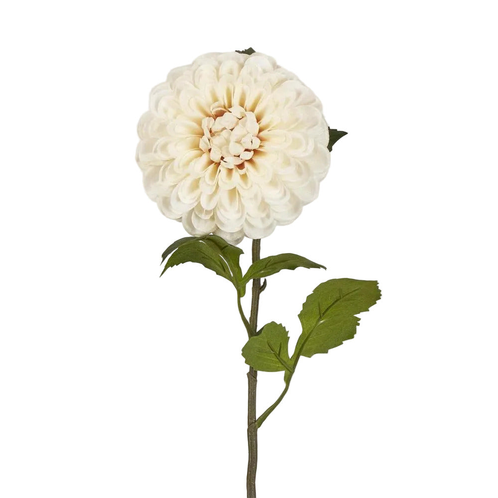 Single Ball Dahlia 74cm Cream