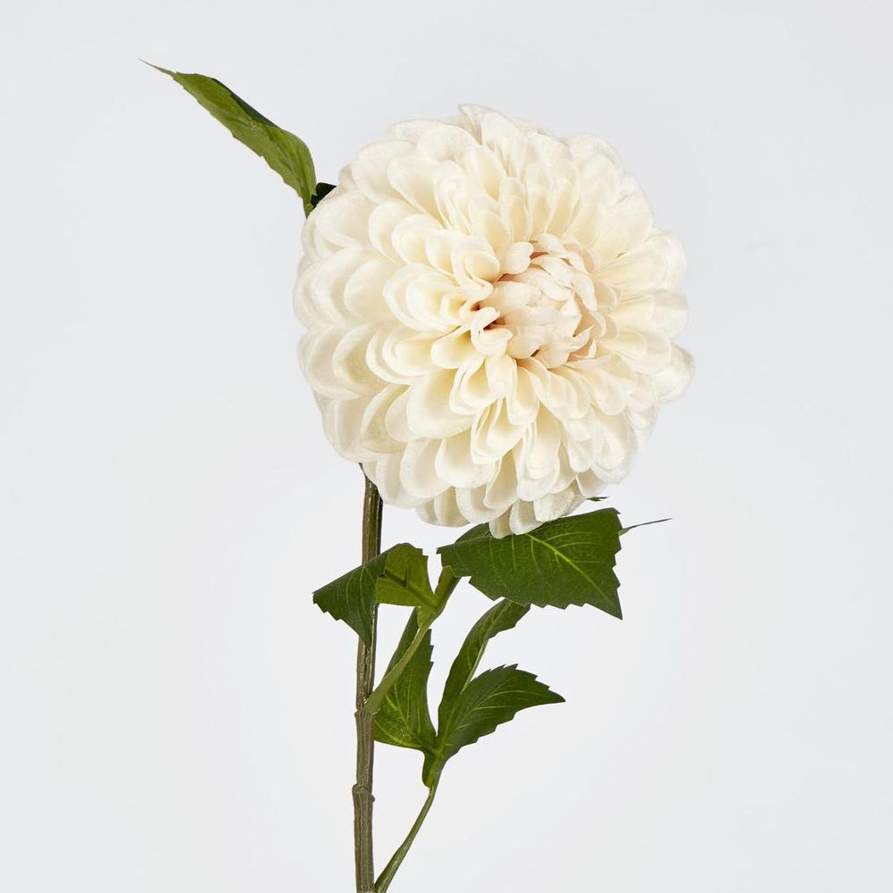 Single Ball Dahlia 74cm Cream image 2