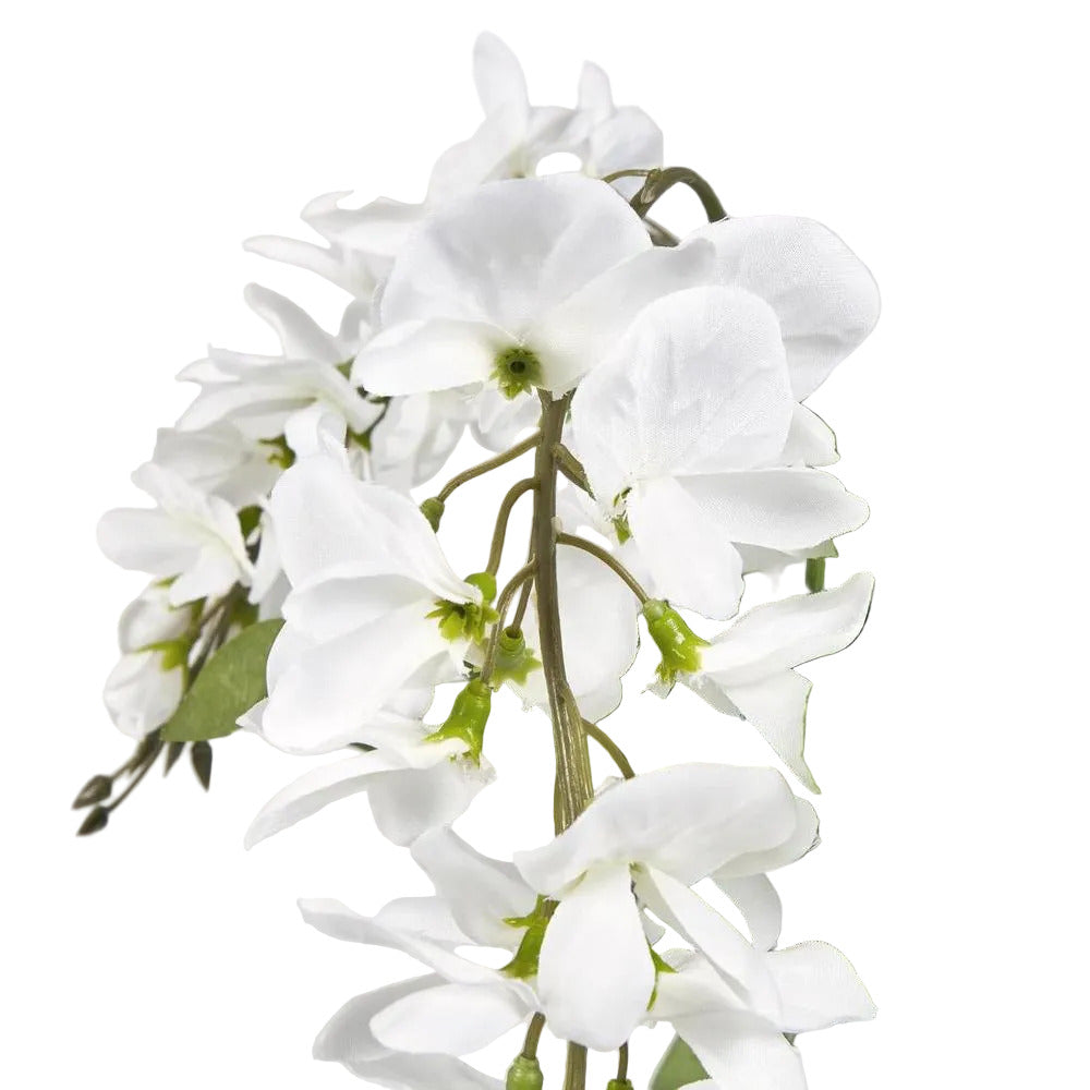 Wisteria Bush 81cm White image 3