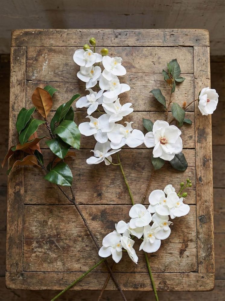 Southern Magnolia Branch image 4