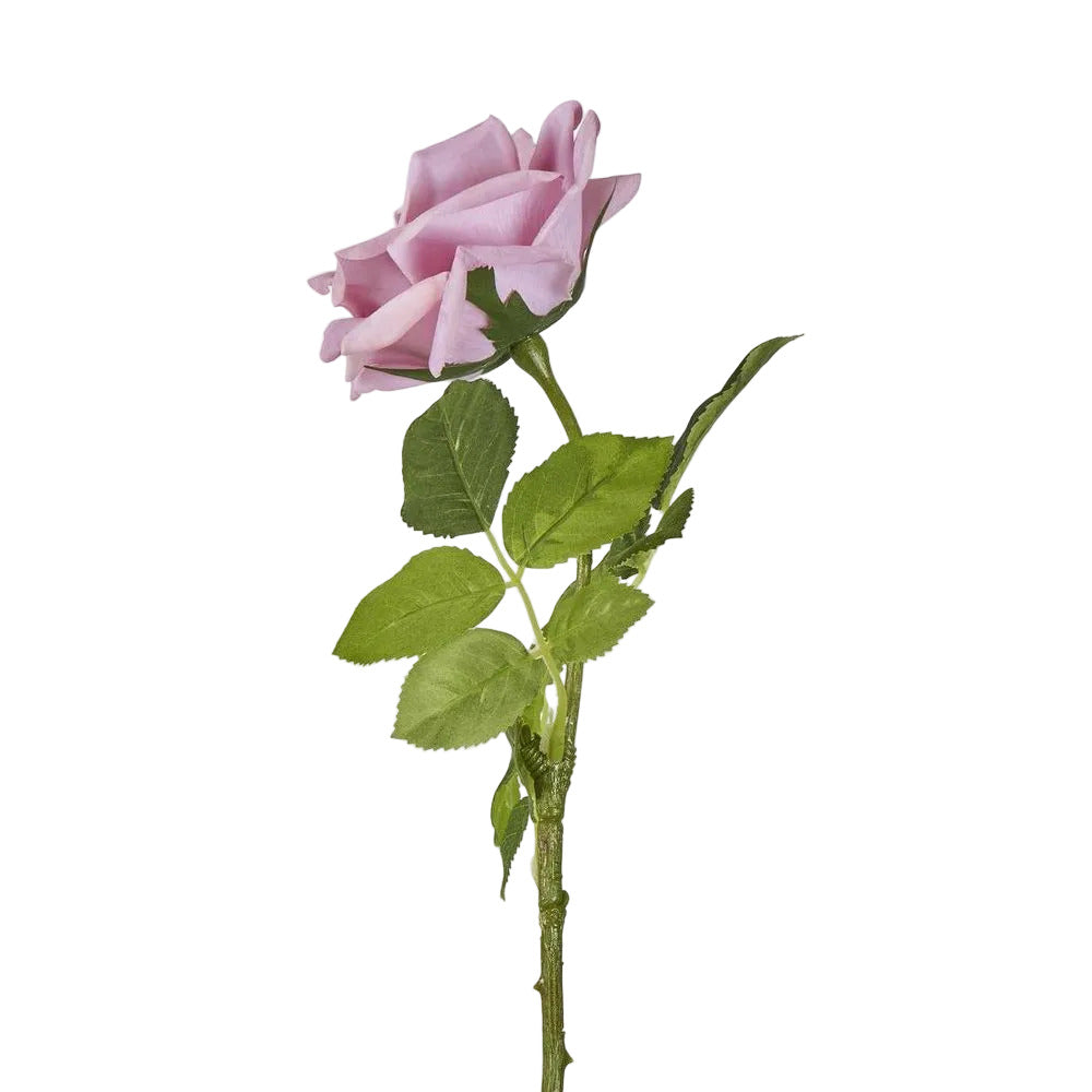 Walter Real Touch Rose Stem Lavender
61cm image 2