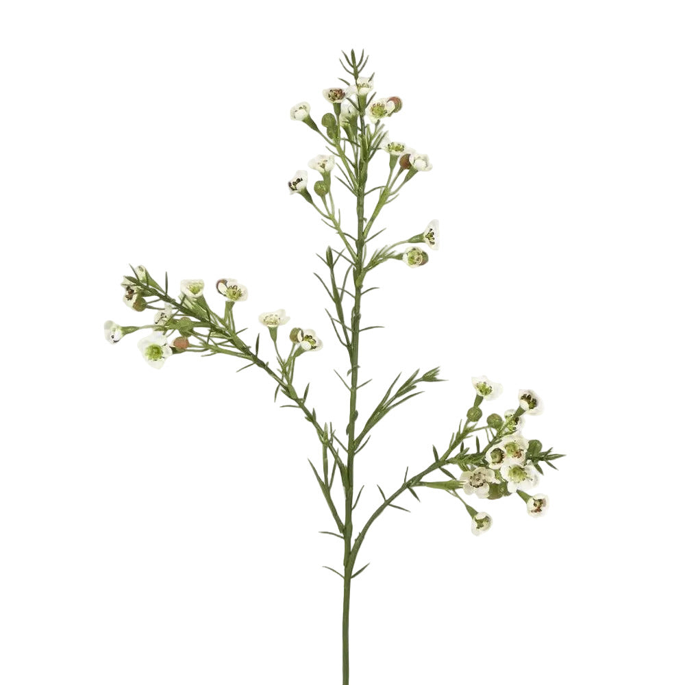 Wax Flower Cream 64cm