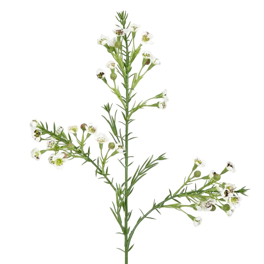 Wax Flower Cream 64cm image 2