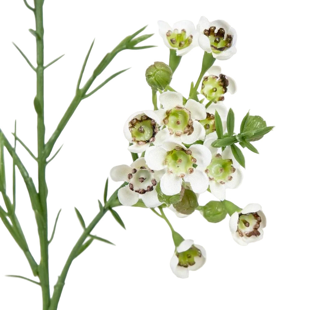 Wax Flower Cream 64cm image 3