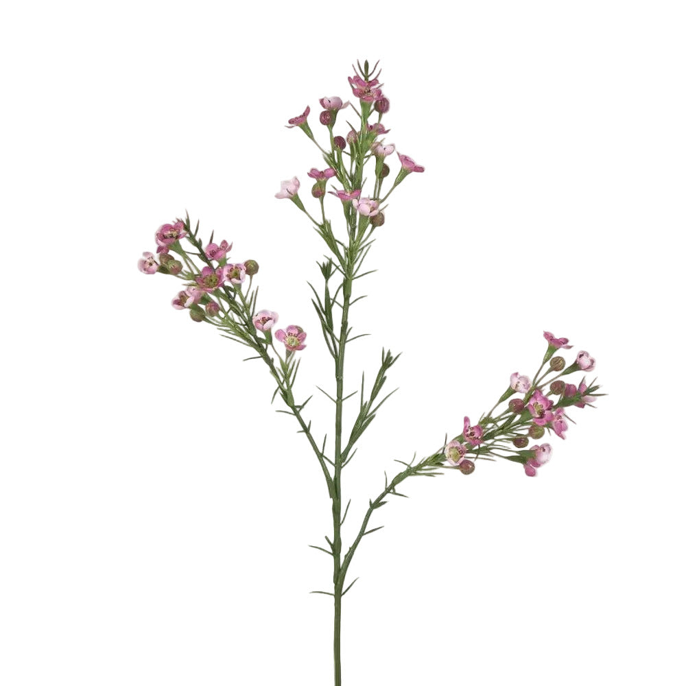 Wax Flower Dark Pink 64cm