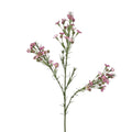 Wax Flower Dark Pink 64cm
