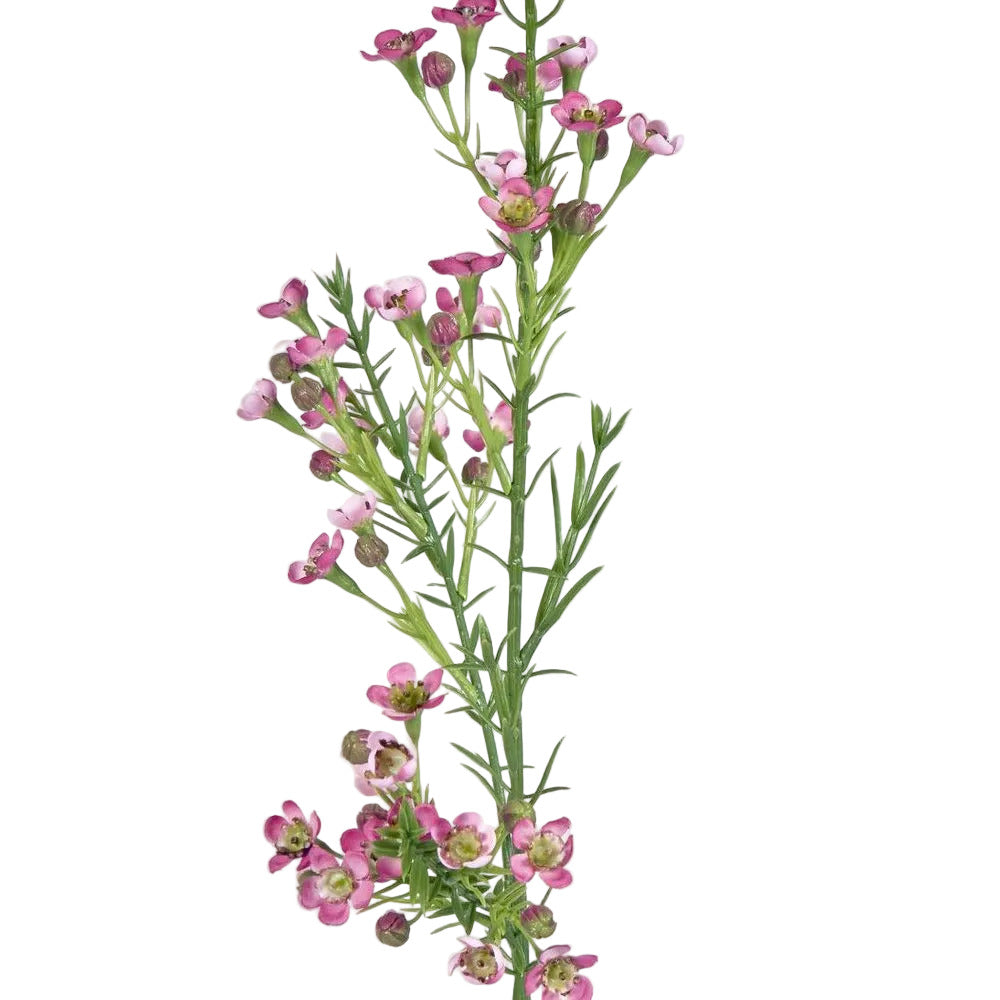 Wax Flower Dark Pink 64cm image 2