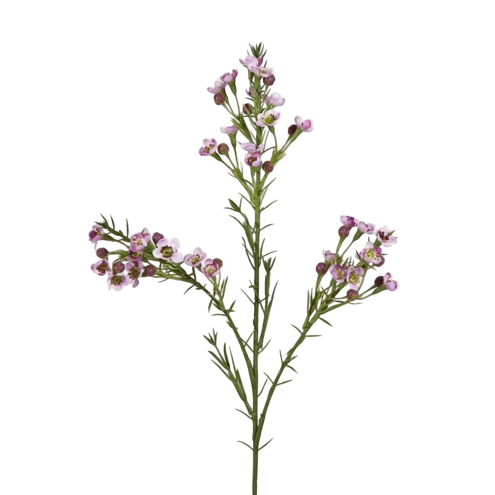 Wax Flower Lilac 64cm