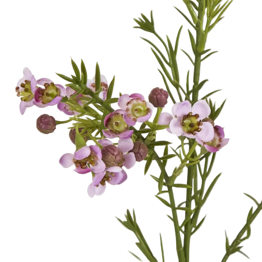 Wax Flower Lilac 64cm image 3