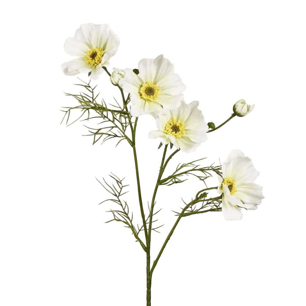 Cosmos Spray 64cm White