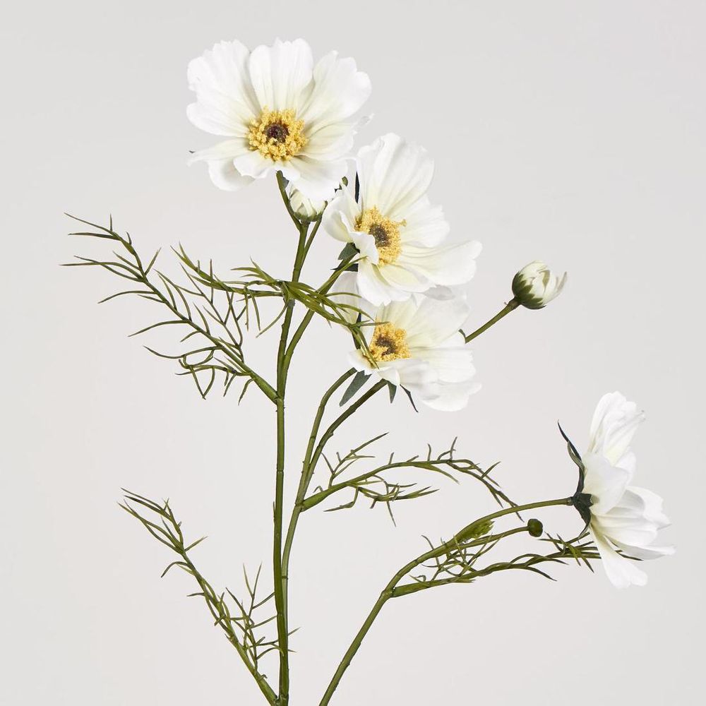 Cosmos Spray 64cm White image 2