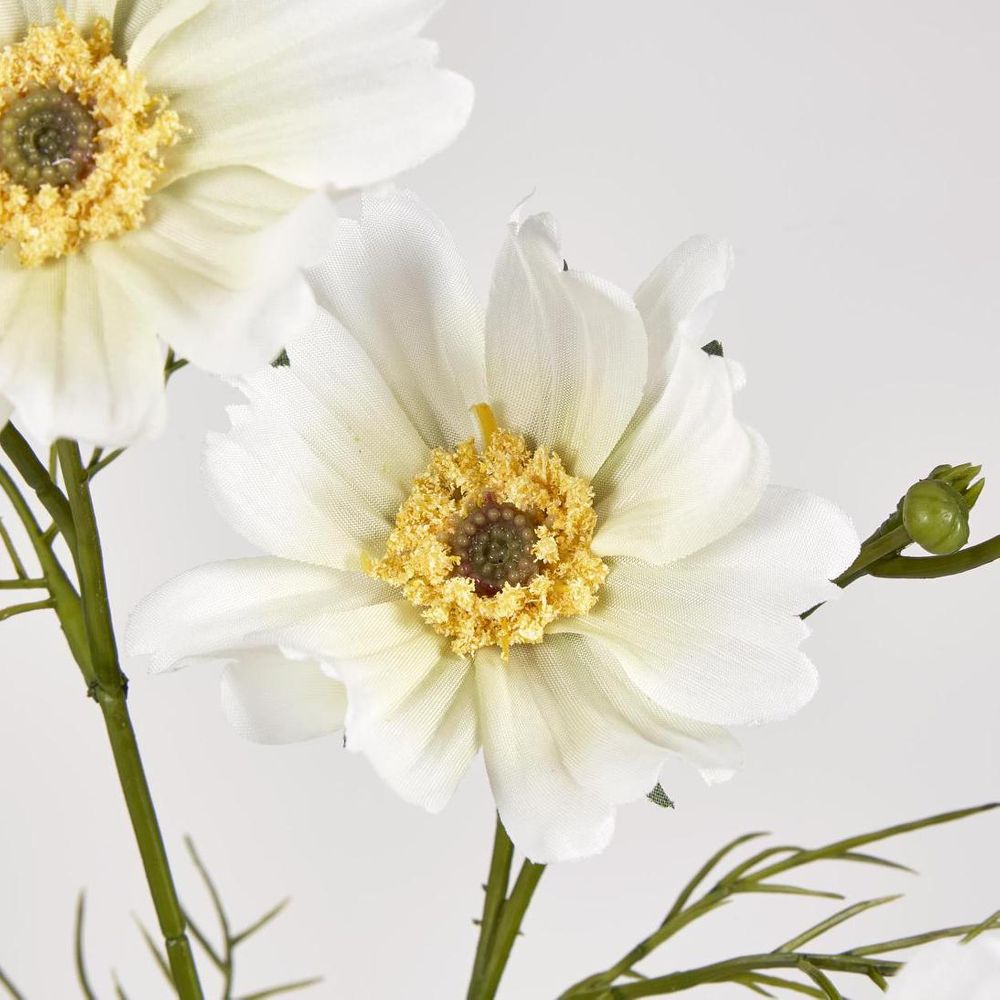 Cosmos Spray 64cm White image 3