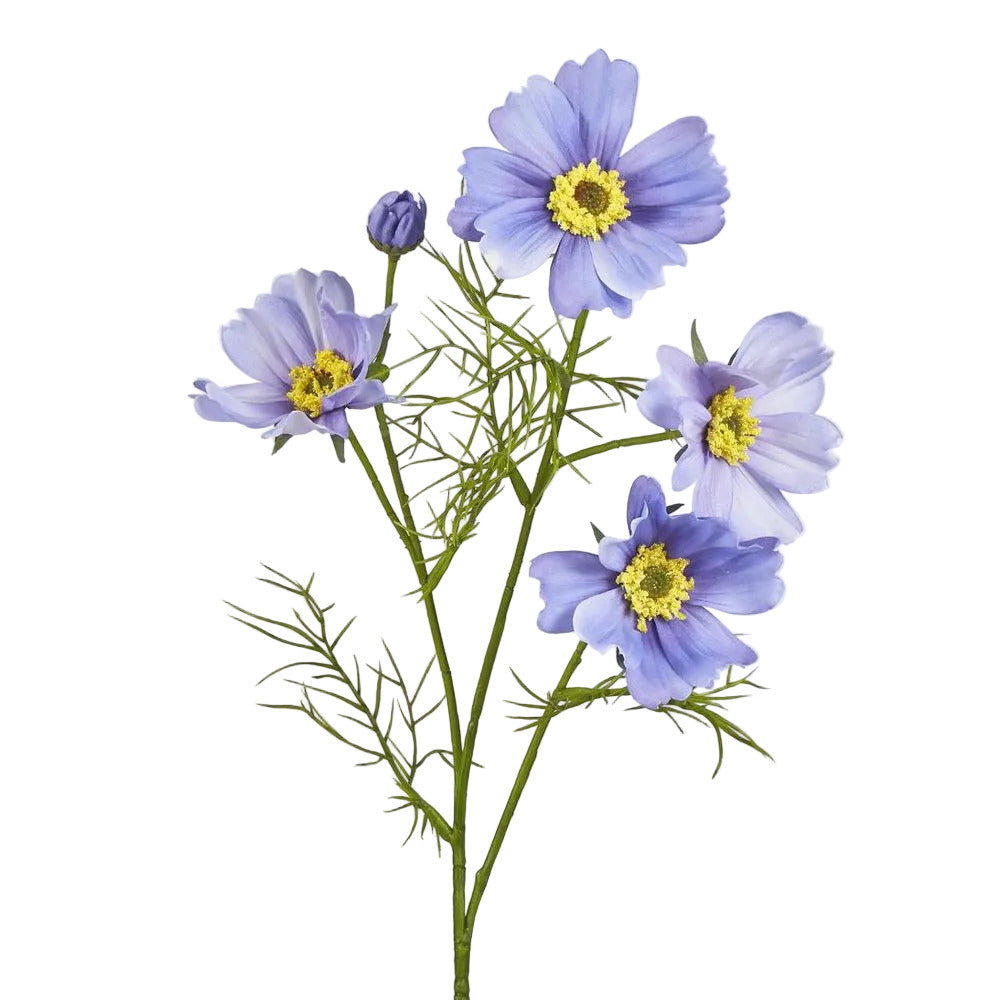 Cosmos Spray 64cm Lavender