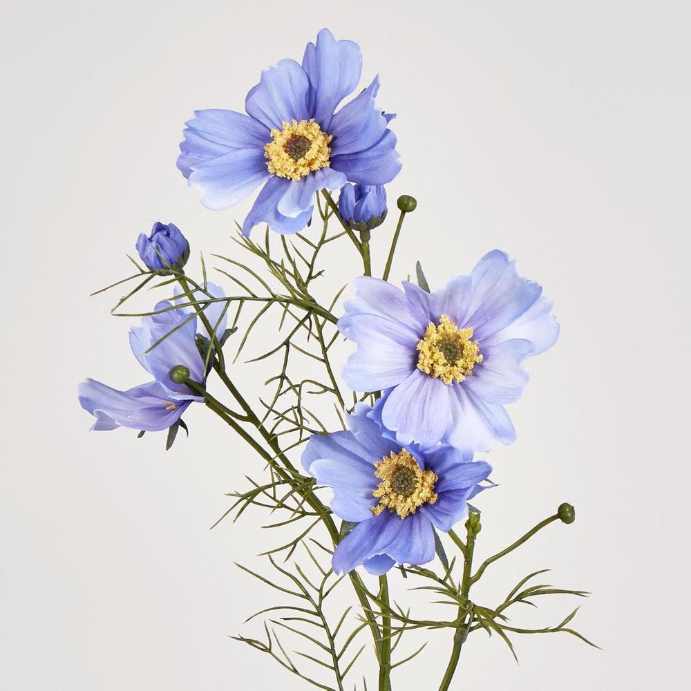 Cosmos Spray 64cm Lavender image 2