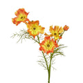 Cosmos Spray 64cm Orange