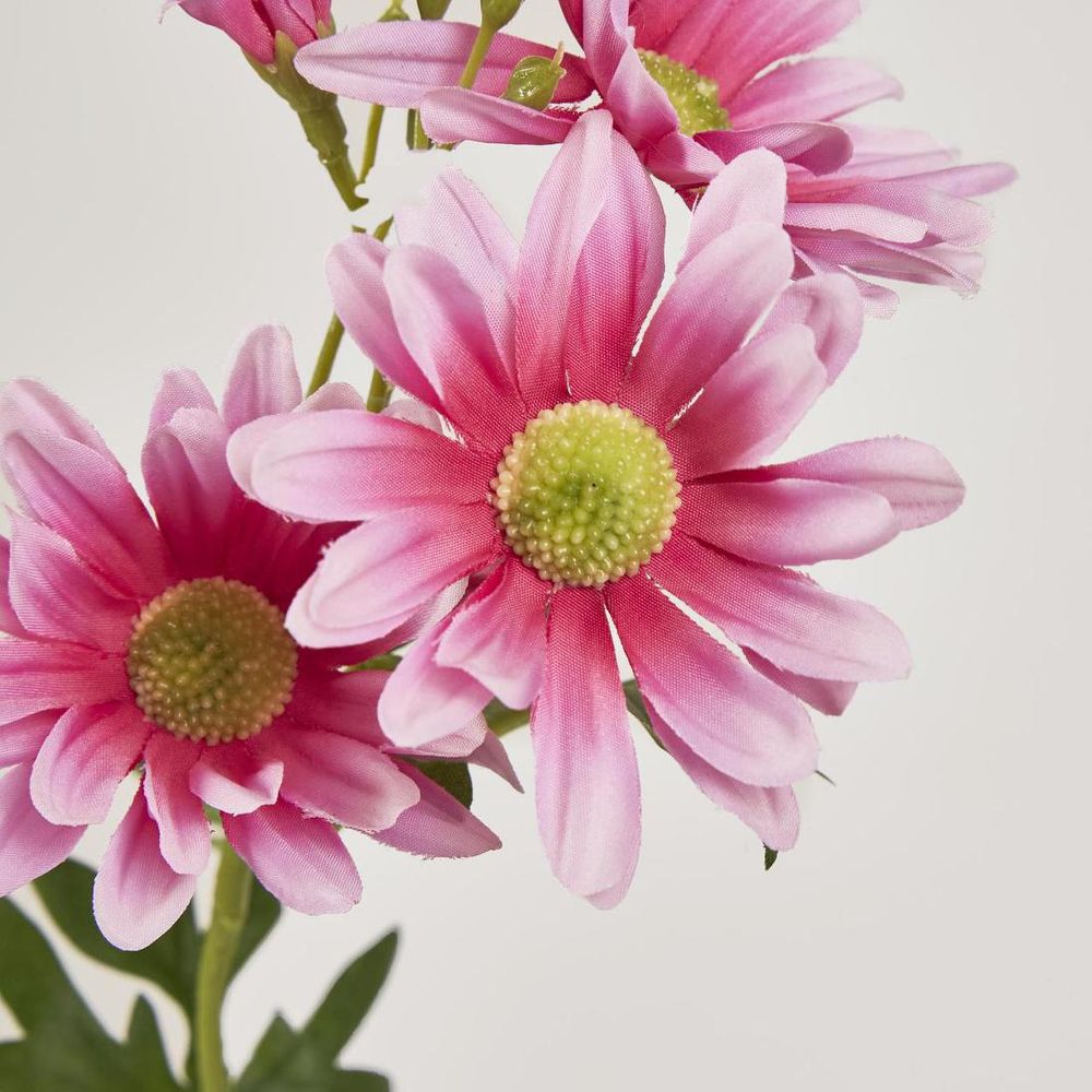 Daisy Spray 74cm Pink image 3