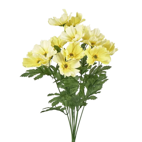 Cosmos Bush 48cm Yellow