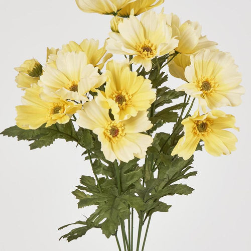 Cosmos Bush 48cm Yellow image 2