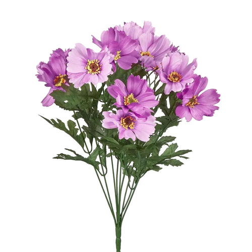 Cosmos Bush 48cm Dark Pink