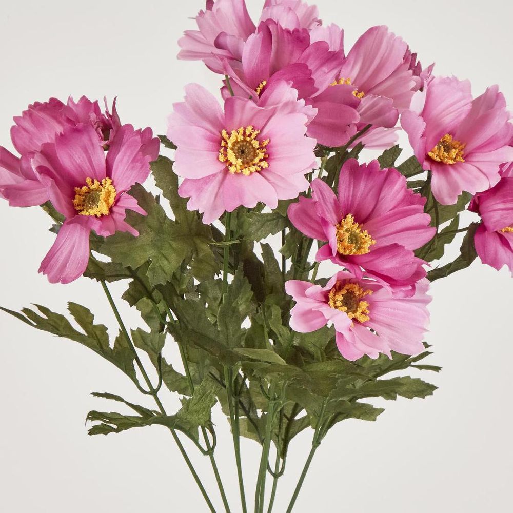 Cosmos Bush 48cm Dark Pink image 2