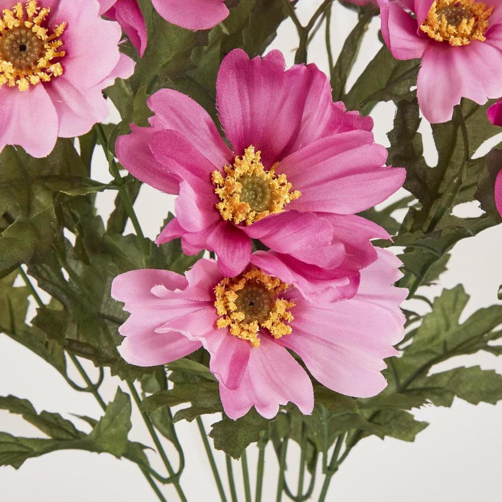 Cosmos Bush 48cm Dark Pink image 3