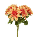 Dahlia Bush x 5 Orange