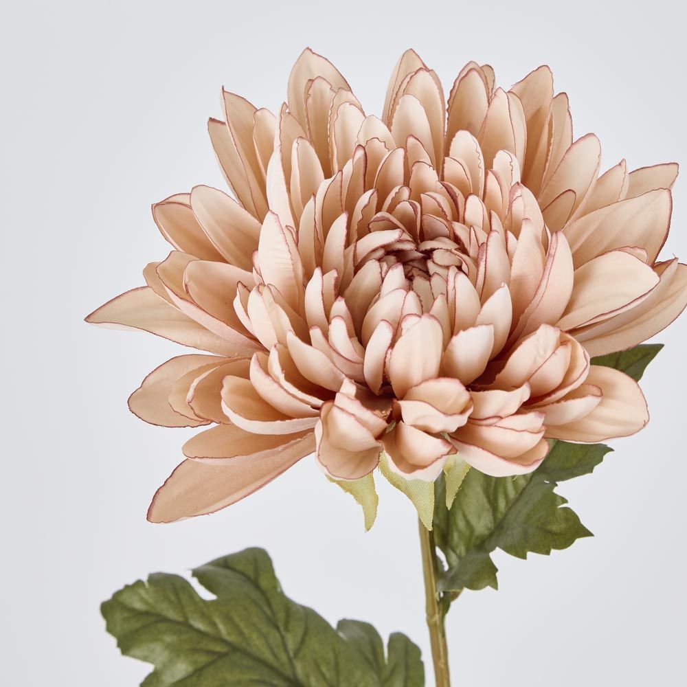 Mum Stem White Pink 69cm image 3