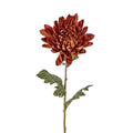 Mum Stem Brown 69cm