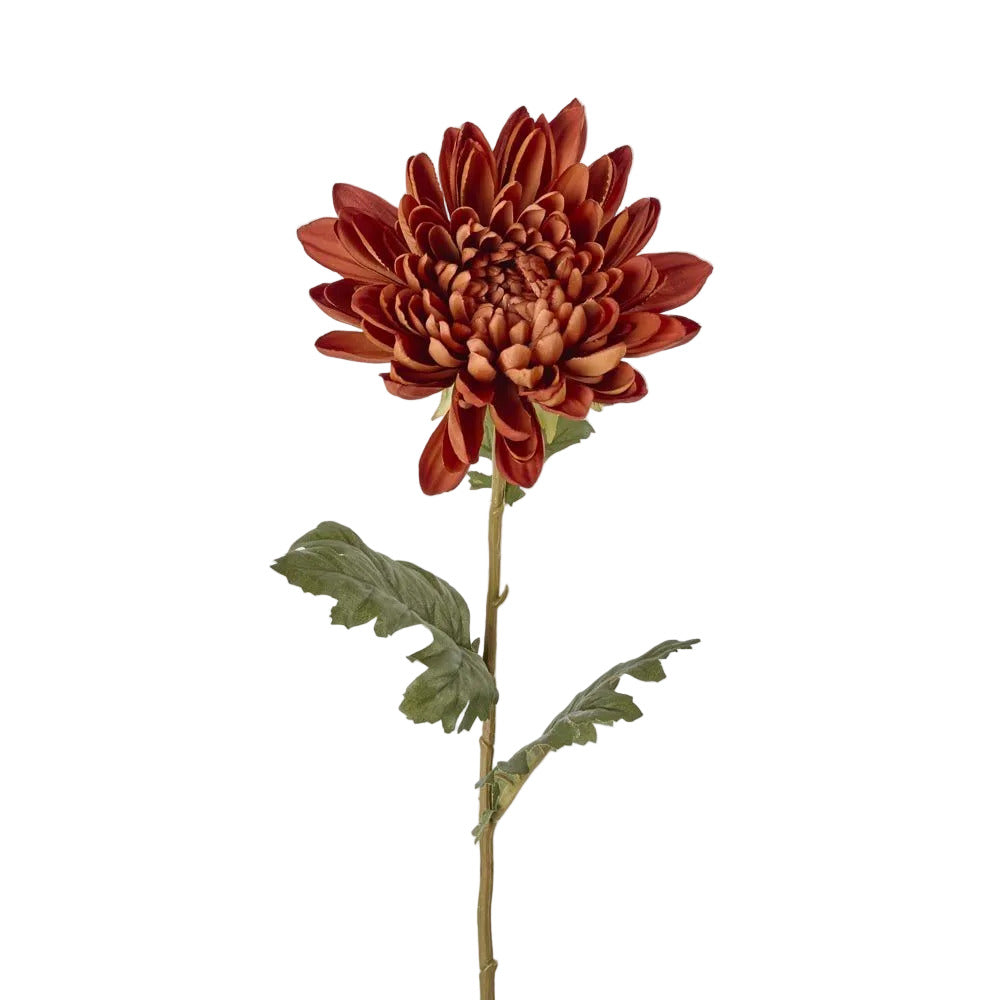 Mum Stem Brown 69cm