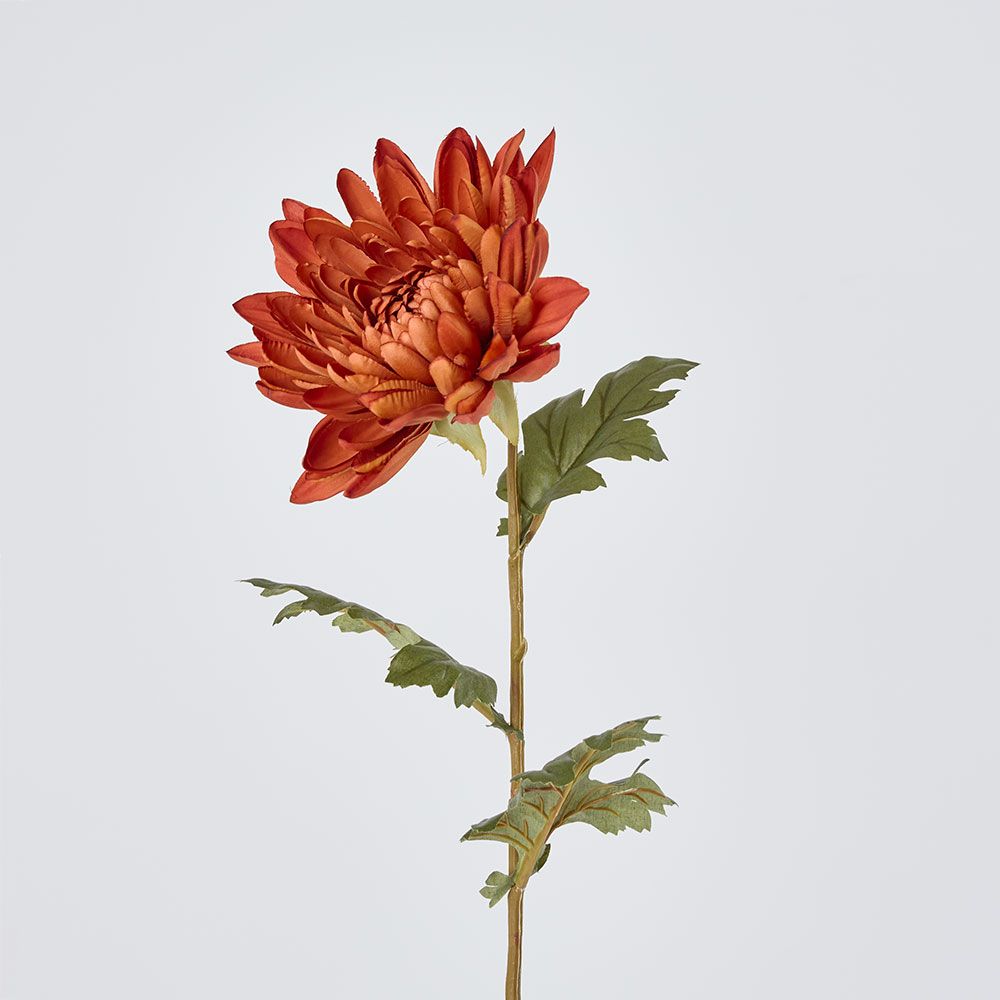 Mum Stem Brown 69cm image 2